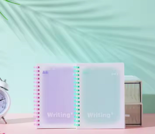 Mini writing notebooks