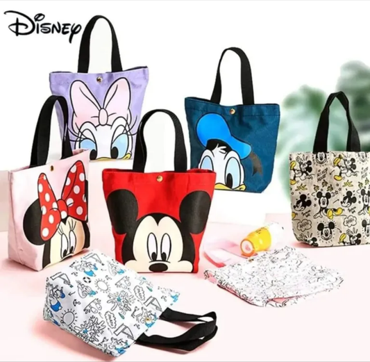 Disney Picnic Bags