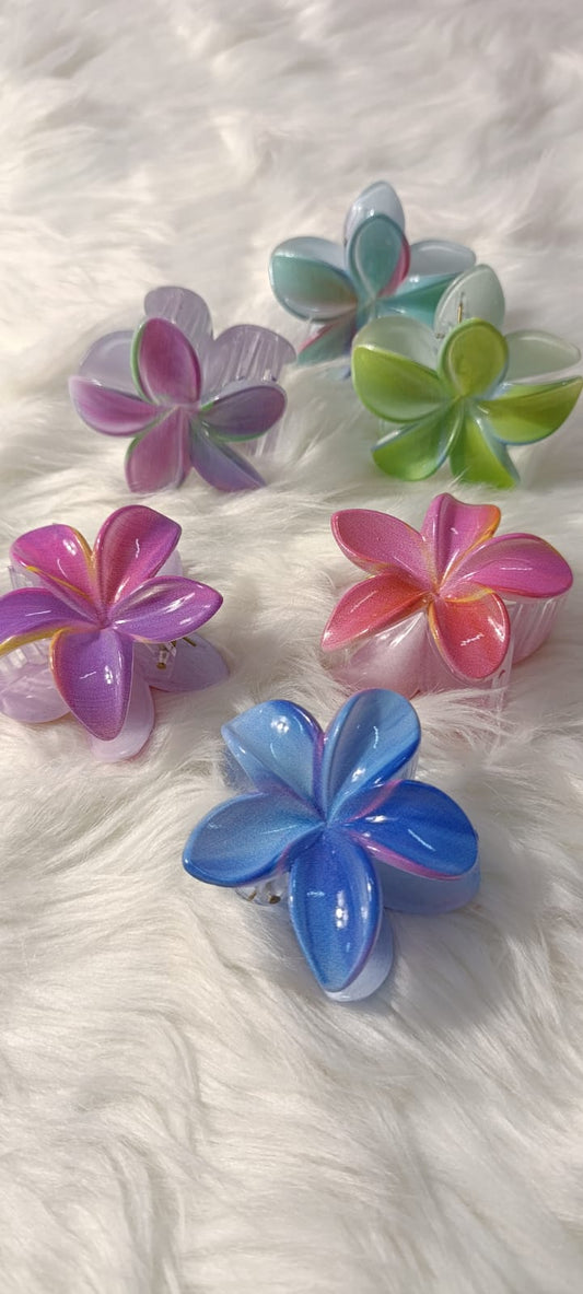 Multi Colour Flower Halor Claw Clips