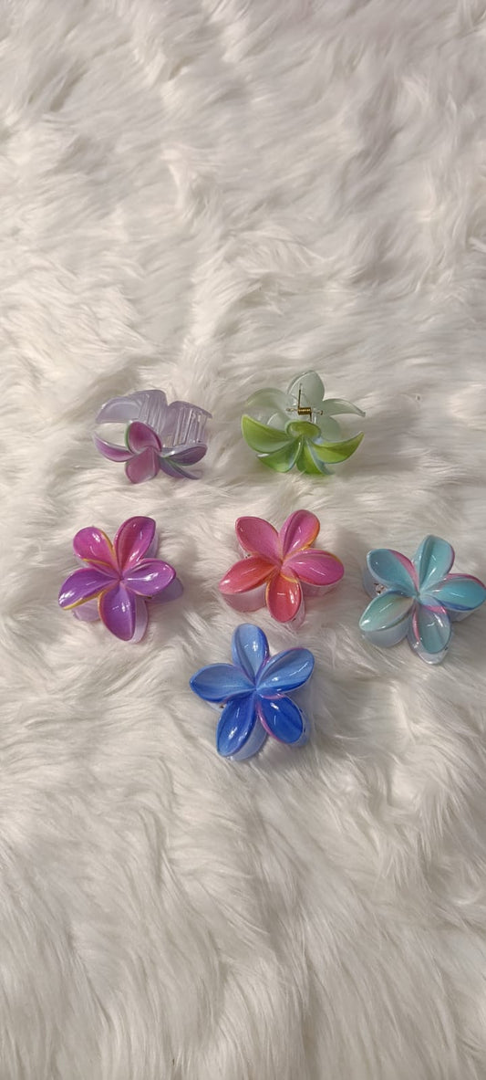 Multi Colour Flower Halor Claw Clips