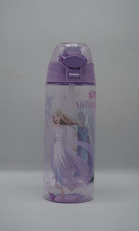 Disney Frozen-themed water bottle