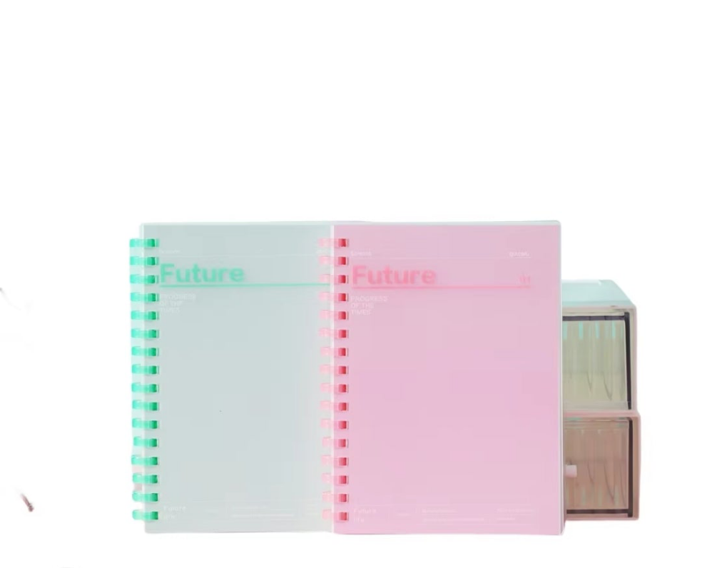 Mini future notebooks