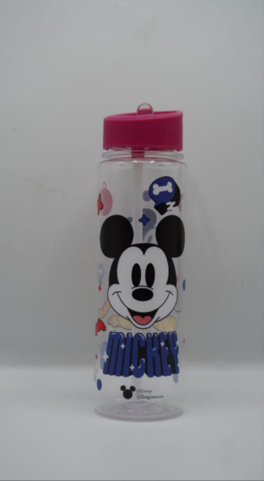 Disney Mickey Mouse water bottle
