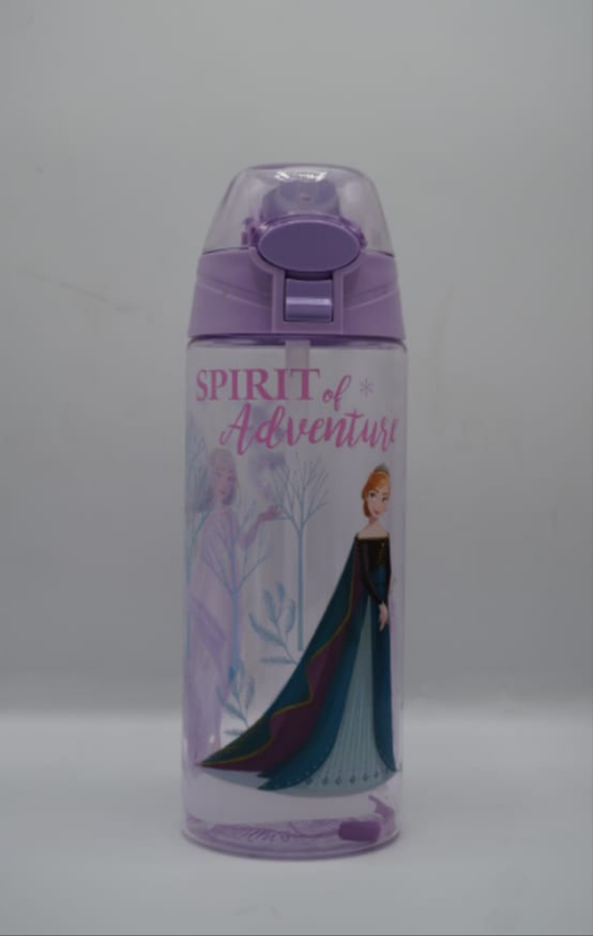 Disney Frozen-themed water bottle