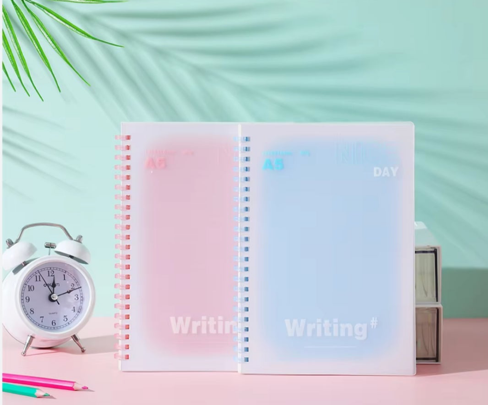 Mini writing notebooks