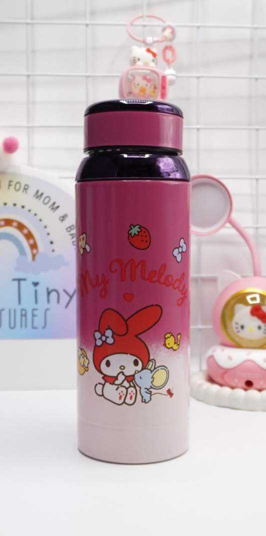 My melody stainless steel water bottle