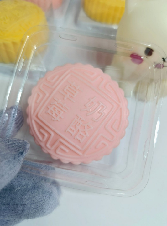 Biscuit Squishy