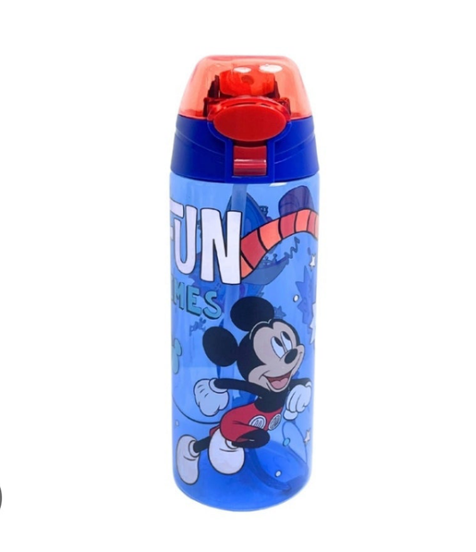 Mickey Mouse water bottle