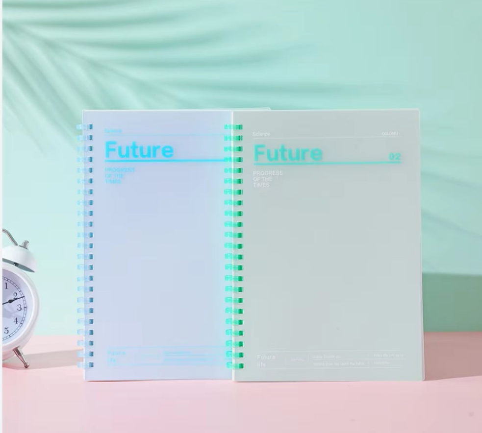 Mini future notebooks