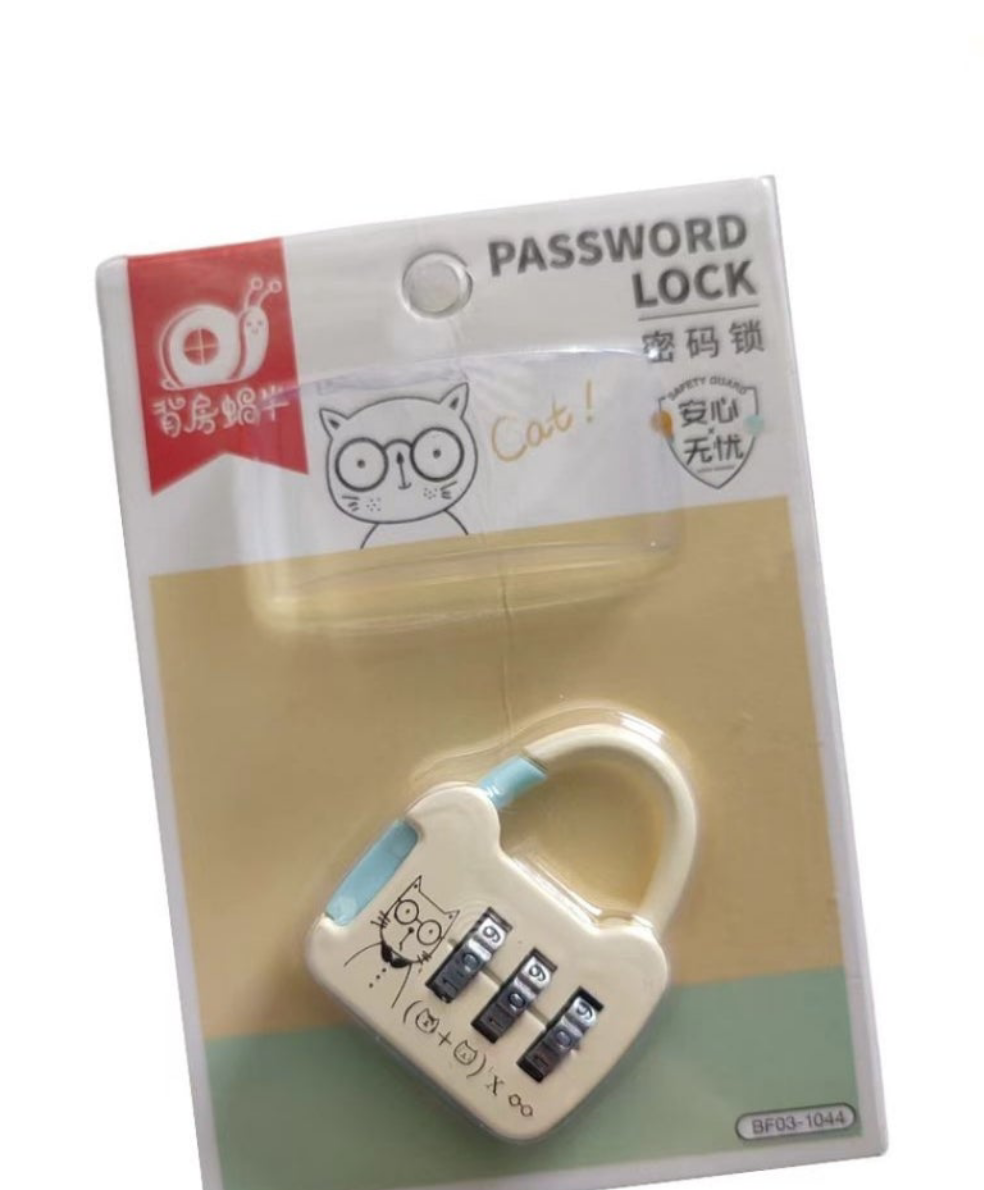 Password locks