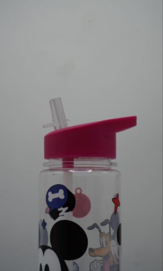 Disney Mickey Mouse water bottle