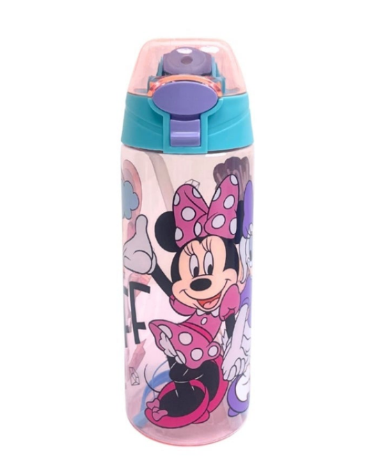 Minnie mouse water bottle