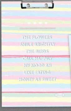 Pastel Clip Board