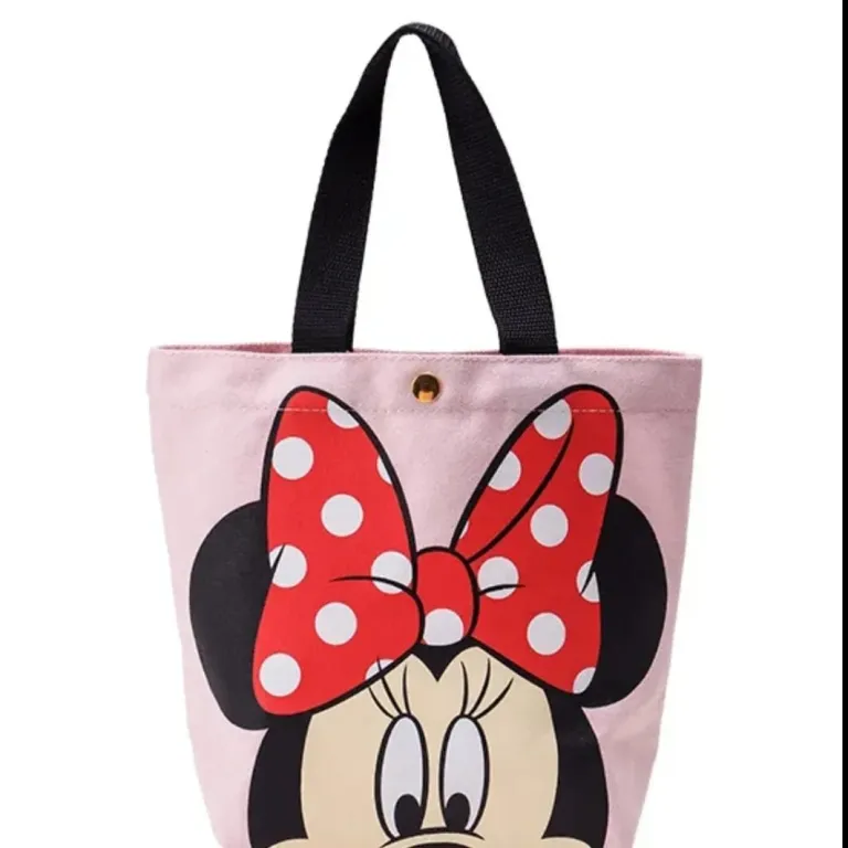 Disney Picnic Bags