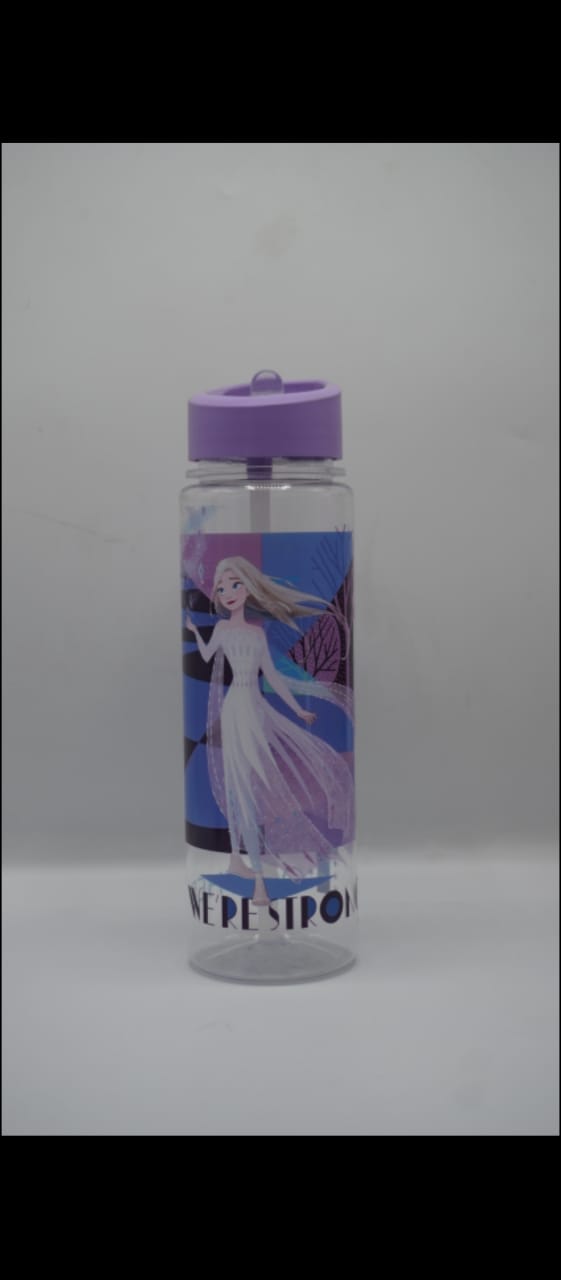 Disney Frozen 2 Water Bottle