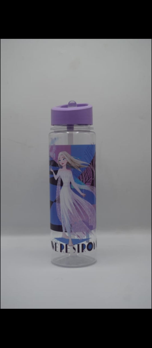 Disney Frozen 2 Water Bottle