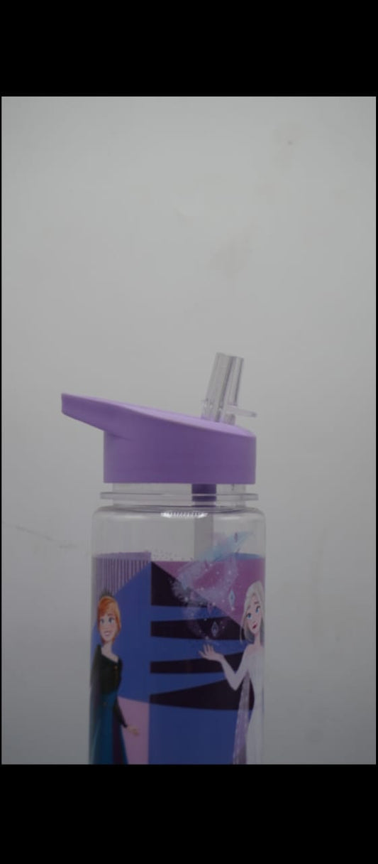 Disney Frozen 2 Water Bottle